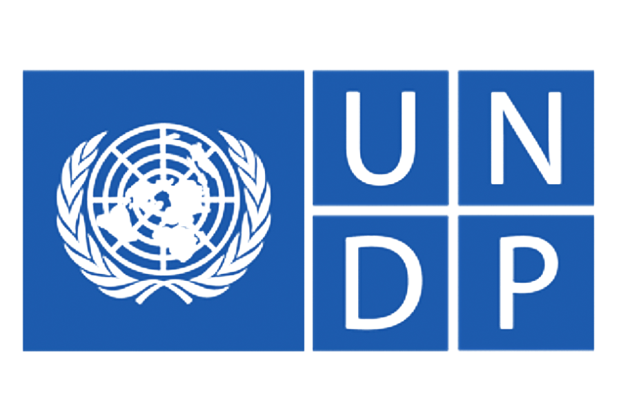 UNDP