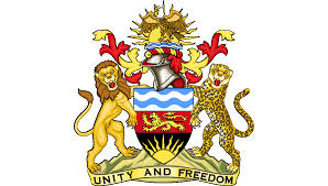 Partner institution